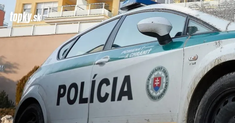 Nadrogovaný Srb prevážal cez Slovensko migrantov: VIDEO Narazil do policajného auta | Topky.sk