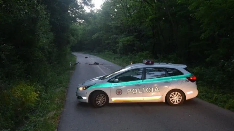 Nadrogovaný Srb prevážal cez Slovensko migrantov, narazil do policajného auta - Domáce - Správy - Pravda.sk
