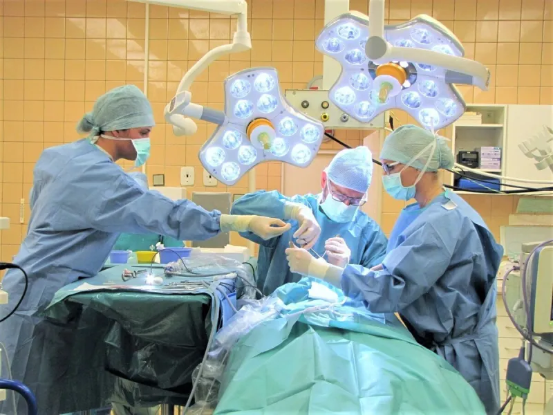 Koronavírus na Slovensku: Tisíce ľudí zomreli zbytočne - SME