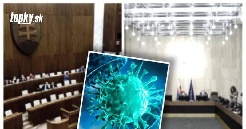 KORONAVÍRUS Drábiková z OĽaNO zďaleka nie je prvá: Parlamentom a vládou lomcovala pandémia už skôr! | Topky.sk