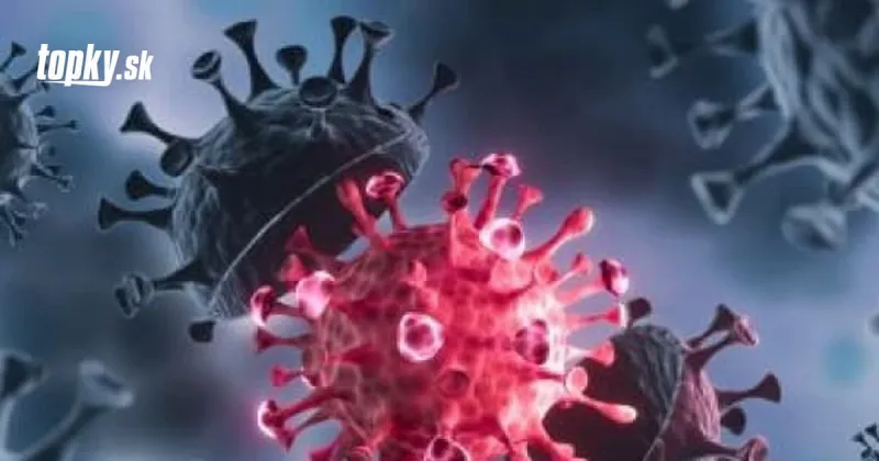 KORONAVÍRUS Británia ako prvá na svete schválila antivirotikum molnupiravir od Mercku | Topky.sk