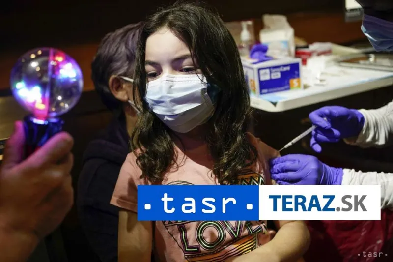 Egypt začne s klinickým skúšaním vlastnej vakcíny proti koronavírusu