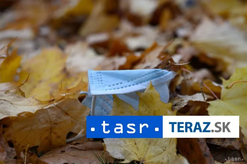 Konzílium odborníkov je za trojtýždňový lockdown pre všetkých