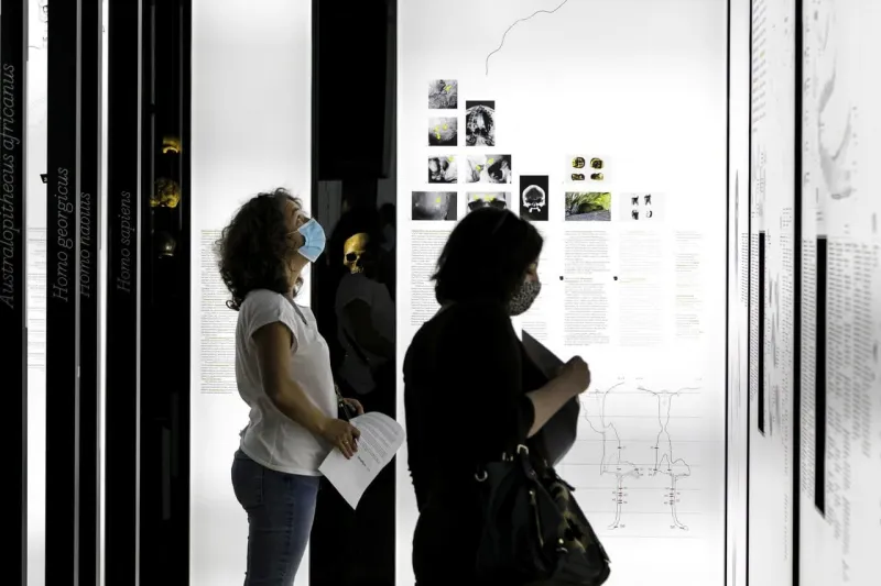 Slovenské národné múzeum reaguje na lockdown: Uzatvára všetky múzeá na Slovensku | Nový Čas