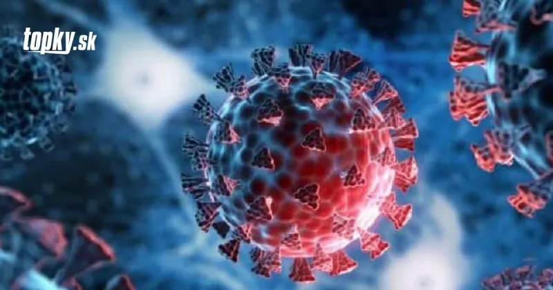 KORONAVÍRUS Ministri zdravotníctva G7 apelujú: Variant omikron si vyžaduje rýchly zásah | Topky.sk