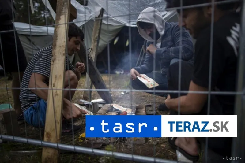 Litva zaplatí migrantom za návrat domov