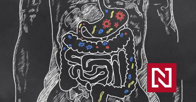 Koronavírus môže v&nbsp;črevnom trakte prebývať celé roky