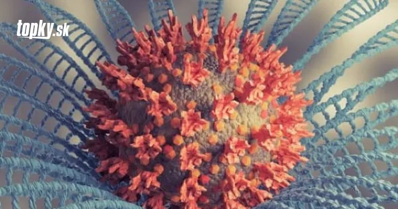 KORONAVÍRUS Ďalšia krajina potvrdila prvý prípad variantu omikron: Ide o občana juhoafrického Lesotha | Topky.sk