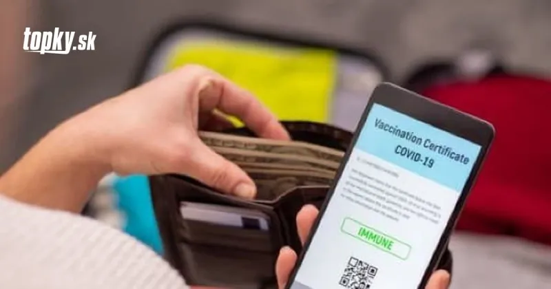 KORONAVÍRUS Francúzsko chce trestať falošné covidpasy väzením a pokutami | Topky.sk