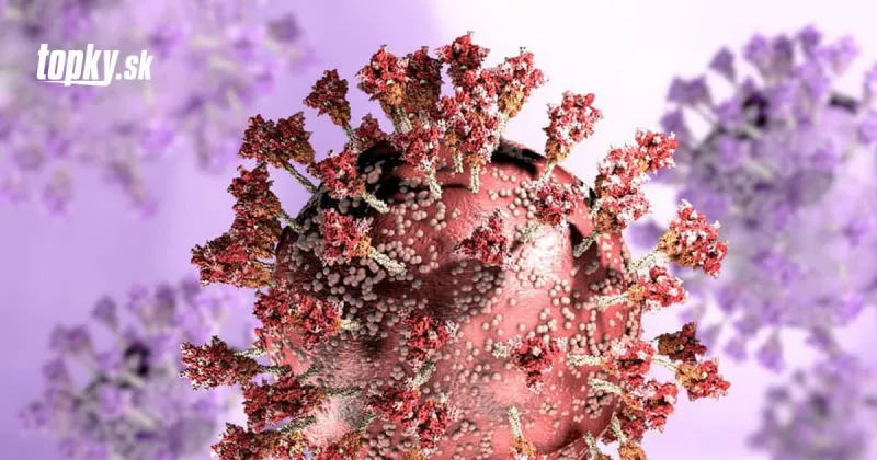 KORONAVÍRUS Variant omikron už prevláda v Európskej únii: Krajiny sa majú pripraviť na štvrté dávky | Topky.sk
