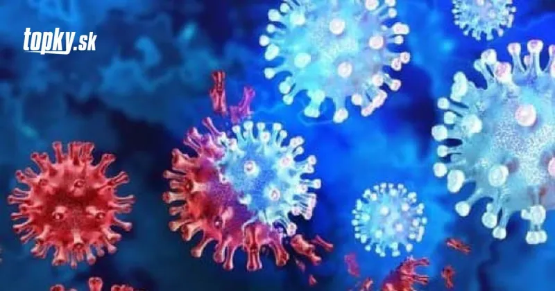 KORONAVÍRUS Slovenskí vedci potvrdili efektivitu ich monoklonálnej protilátky proti omikronu | Topky.sk