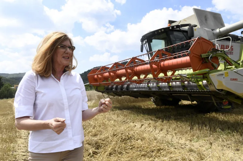 Matečná hovorí, že sa s Čižnárom dohodli na školení ľudí z prokuratúr o agrodotáciách – Denník N