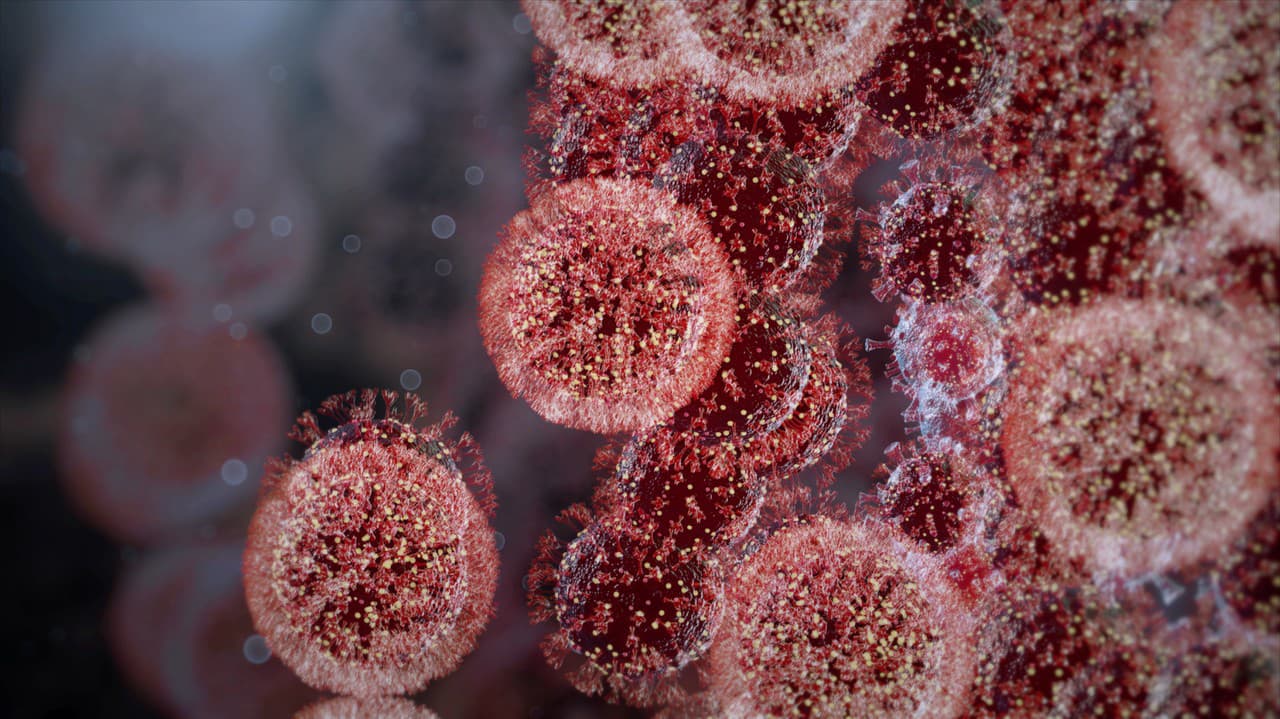Vírusová nálož koronavírusu v odpadových vodách: Pozrite, kde všade stúpla! | Nový Čas