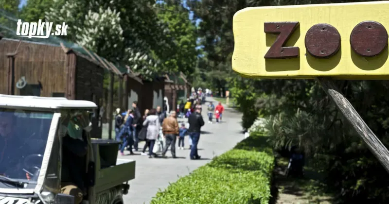 Takýto vplyv pandémie KORONAVÍRUSU experti nečakali: Zavreli sa zoo a pozrite, čo sa stalo so zvieratami | Topky.sk