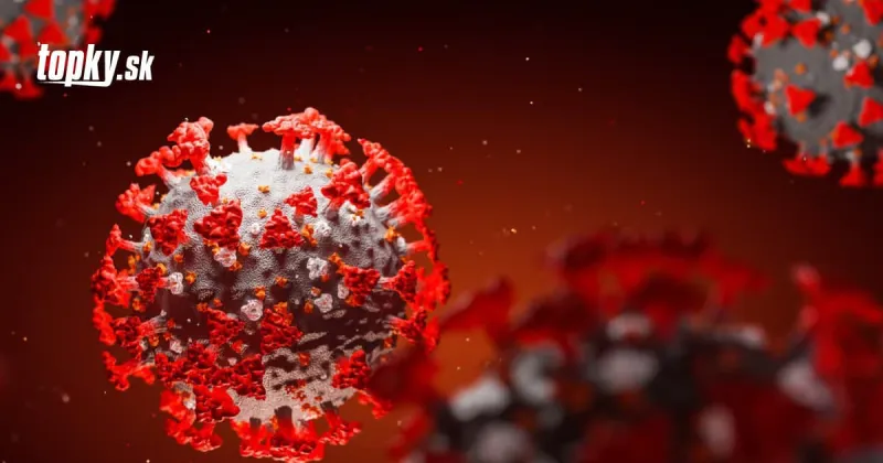 Úmrtia na KORONAVÍRUS klesli tento rok o 95 percent: WHO stále varuje na jeho výskyt | Topky.sk