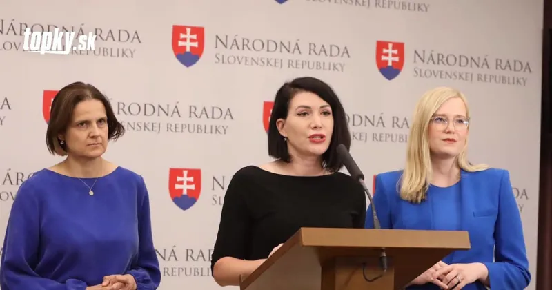 SaS navrhuje na mimoriadnu schôdzu aj ochranu žien a Istanbulský dohovor | Topky.sk