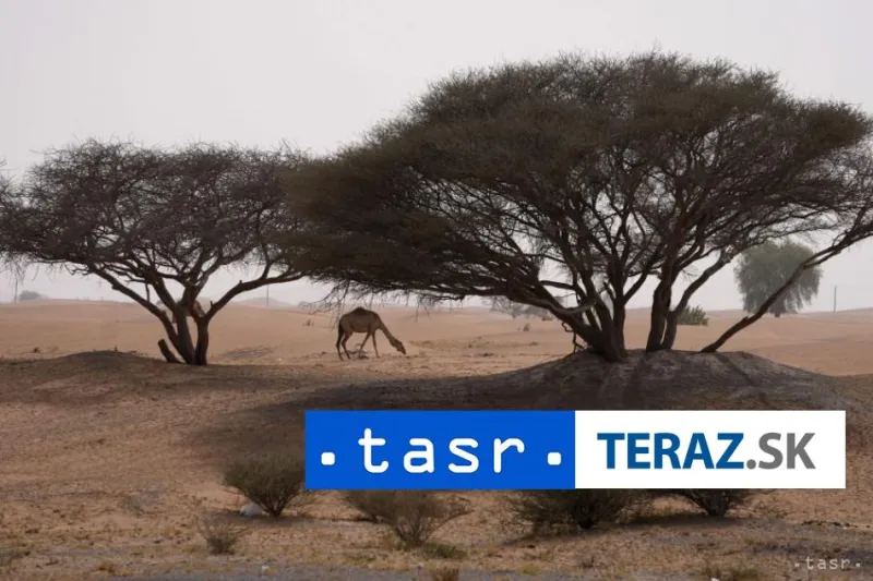 V líbyjskej púšti pri Tunisku našli pohraničníci desiatky migrantov