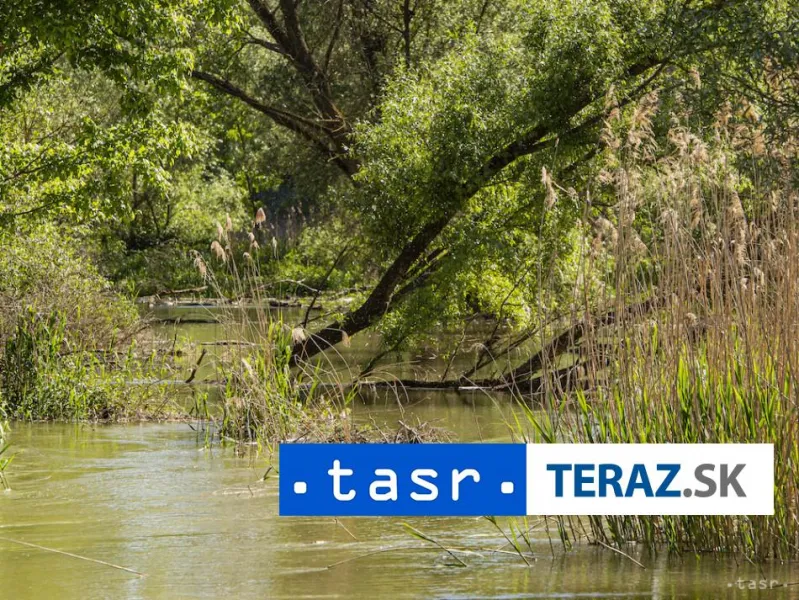 Chorváti zadržali 9 ľudí podozrivých z pašovania migrantov cez Dunaj