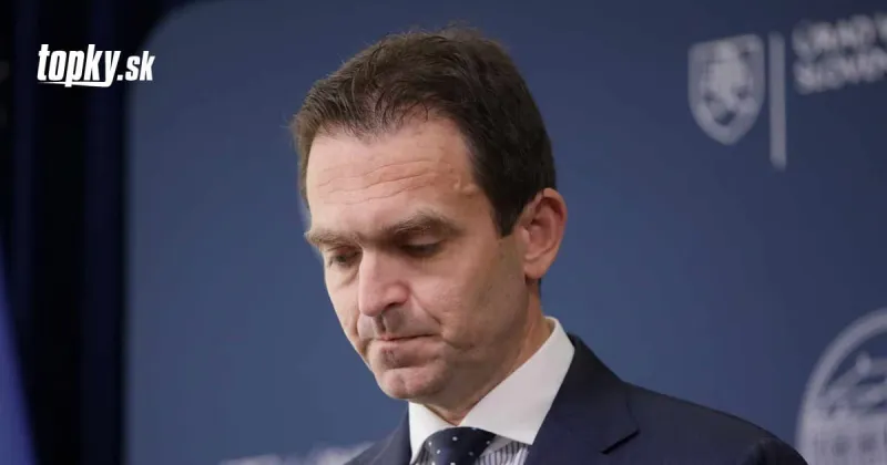 Strana SaS je proti nelegálnej migrácii: Treba hľadať európske riešenia, vyhlásil Ľudovít Ódor | Topky.sk