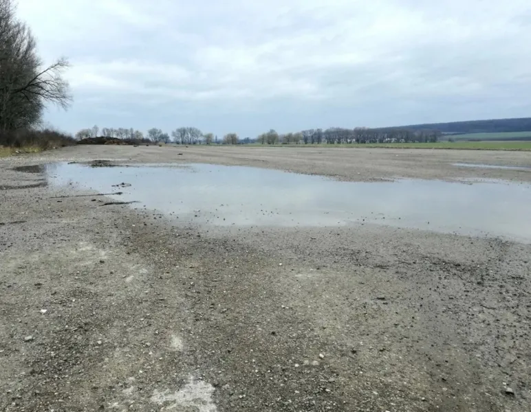 Na exposlankyňu podal prokurátor obžalobu. Rošková: Môj advokát to preveruje - Korzár SME