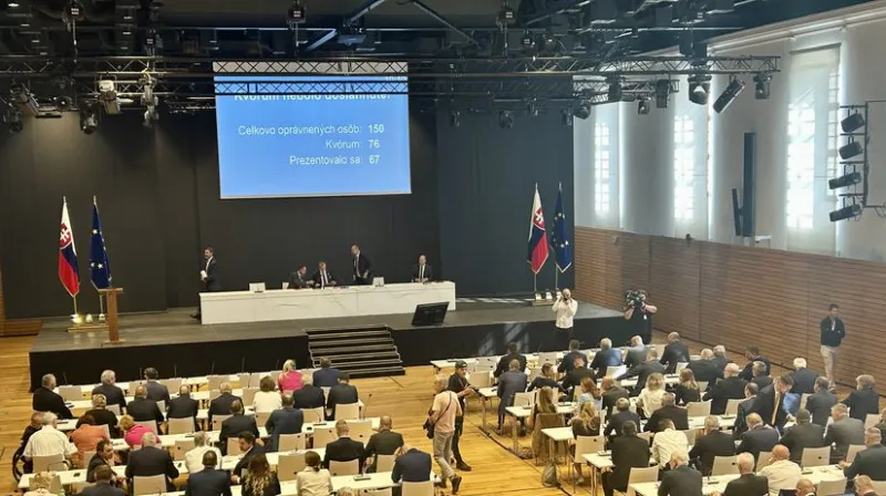 Poslanci do roboty prišli, no neprezentovali sa. Schôdze k migrantom, pediatrom a ani Trestnému zákonu neotvorili - Domáce - Správy - Pravda