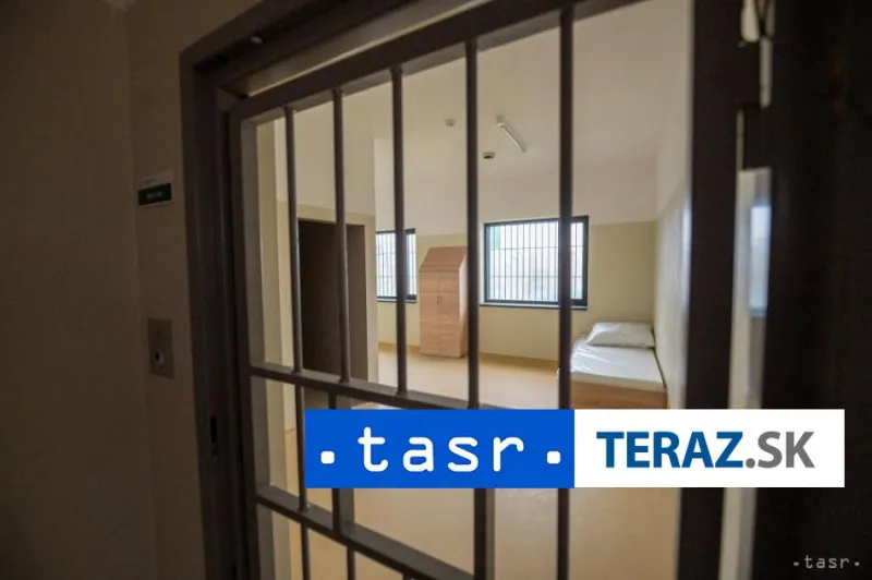 Bielorus natlačil do dodávky 33 migrantov, v ČR mu hrozí 8 rokov