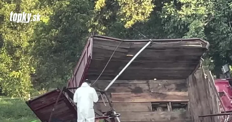 Pri nehode kamiónu v Mexiku zahynulo desať migrantov a množstvo utrpelo zranenia | Topky.sk