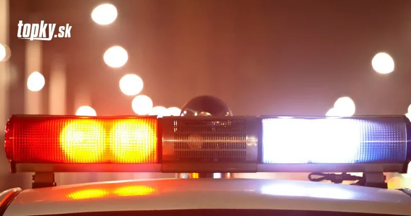 Naháňačka polície a migrantov skončila tragicky! Vážna dopravná nehoda si vyžiadala sedem mŕtvych | Topky.sk