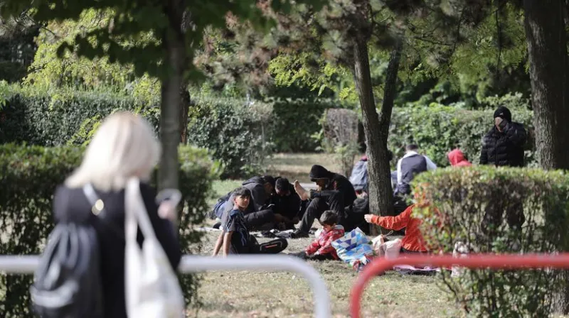 Vo štvrtok má byť spustené núdzové prístrešie pre migrantov v bratislavských Vajnoroch - Domáce - Správy - Pravda