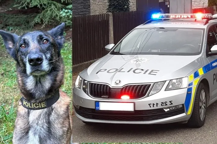 Zásah proti migrantom sa zvrtol: Policajný pes POHRÝZOL do tváre 4-ročné dievčatko