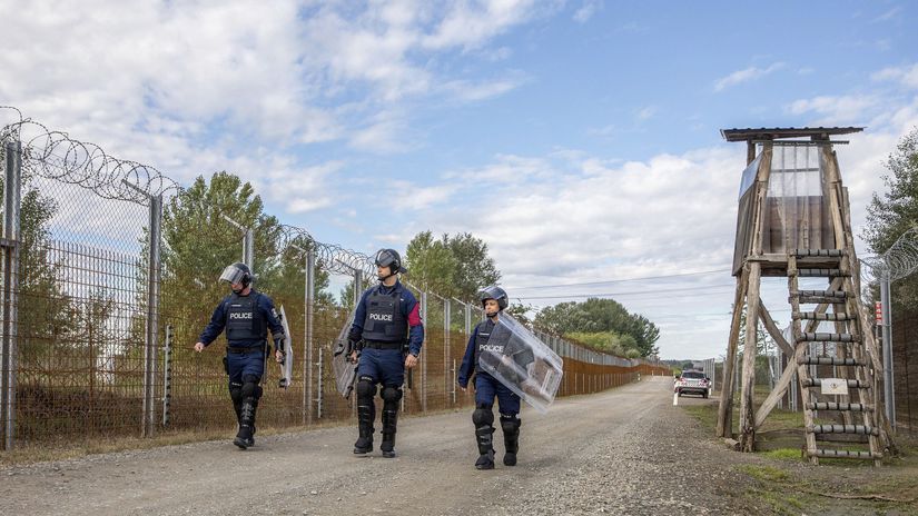Migranti pri srbsko-maďarských hraniciach spustili po sebe streľbu. Najmenej traja ľudia zahynuli - Svet - Správy - Pravda