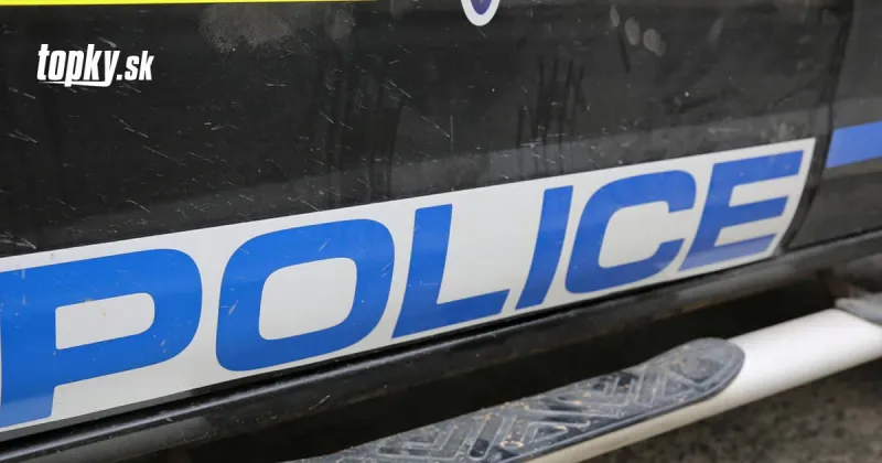 Prenasledovanie pašeráka migrantov v Texase skončilo haváriou: Všetci zahynuli | Topky.sk