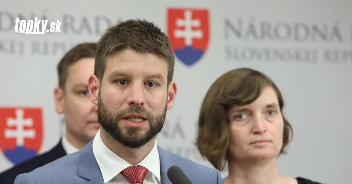 Opozícia využije všetky nástroje, aby zabránila zrušeniu špeciálnej prokuratúry, tvrdí Michal Šimečka | Topky.sk