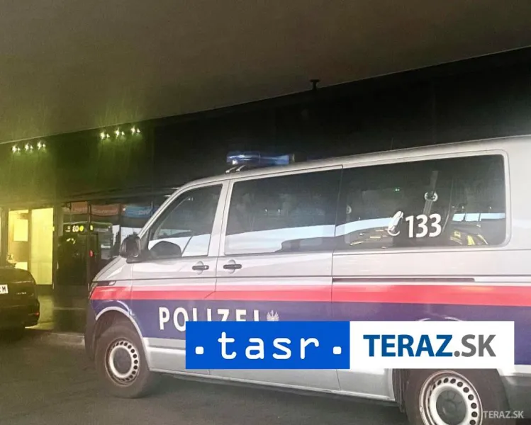 V Švajčiarsku prenasledovali dodávku, v ktorej objavili 14 migrantov