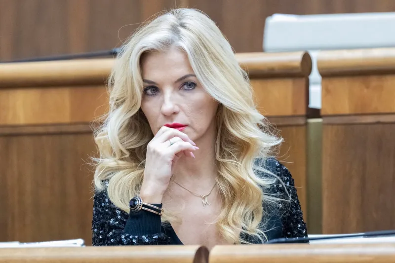 „Lex Kuciak“ – prichádza zákon inšpirovaný vraždou novinára - Komentáre SME