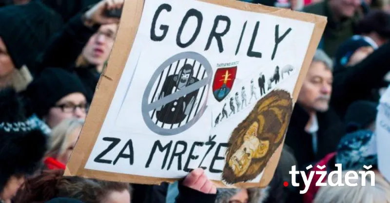V kauze Gorila znova obvinili Jaroslava Haščáka a ďalšie osoby — čo to znamená podľa Juraja Petroviča |  | .týždeň - iný pohľad na spoločnosť