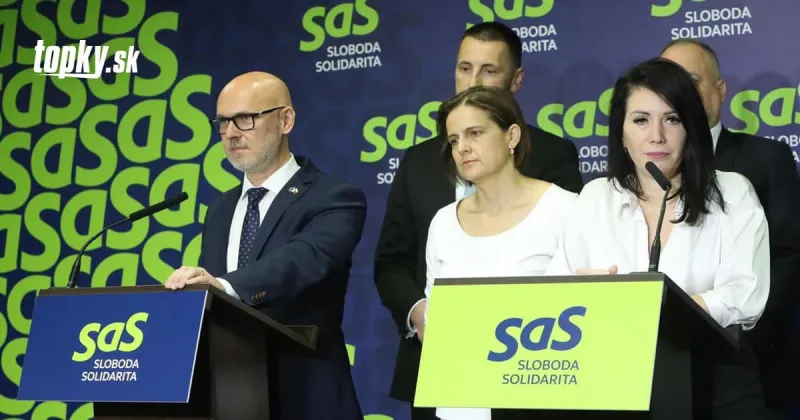 SaS odmieta povinné kvóty a pokuty za neprijatie ilegálnych migrantov: Migračný pakt EÚ kritizujú aj iné strany | Topky.sk