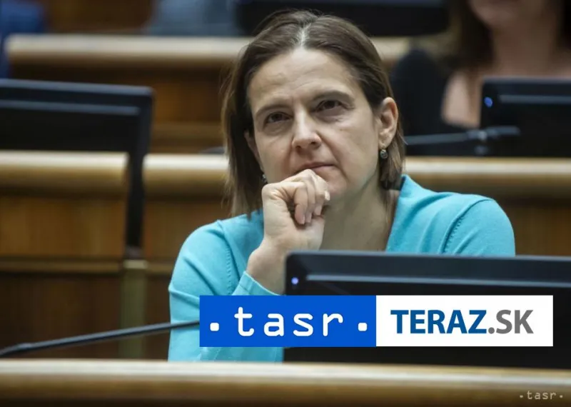 Kolíková: Vláda by sa mala ospravedlniť za klamstvá o Lučanského smrti