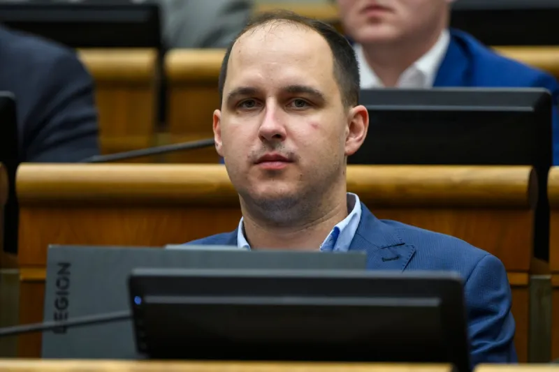 Mimovládky by mohli podliehať regulácii lobingu, navrhuje Lučanský z SNS