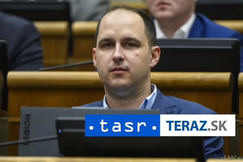 Lučanský: Novelou o neziskovkách chceme stransparentniť ich fungovanie