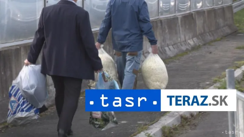 Taliansko obmedzí možnosť získať občianstvo pre potomkov emigrantov