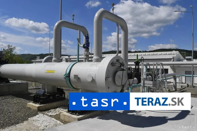 Vyjednávač EP:EÚ by mala zvážiť ukončenie dovozu plynu z Ruska do 2026