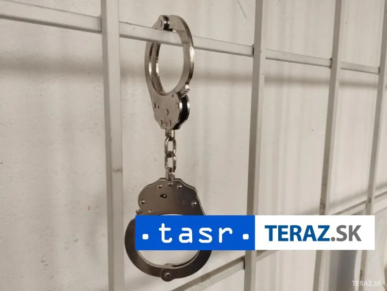 V ČR obvinili 13 ľudí z organizovania prevozov nelegálnych migrantov