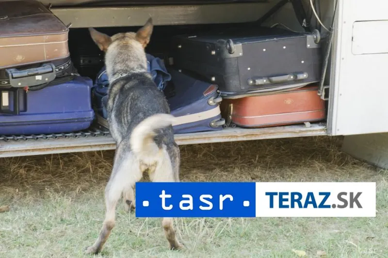 Akcie proti nelegálnej migrácii: Skontrolovali 270 vozidiel a 810 osôb