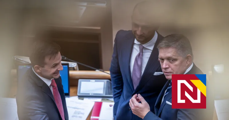 Mimovládky nevidia v&nbsp;prísnejších štátnych kontrolách zmysel: už teraz máme rozsiahle kontroly, odkazujú vláde (anketa) &mdash; Denník N