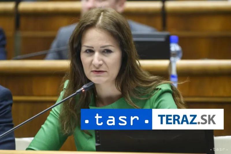 Bajo Holečková avizuje podnet v súvislosti so zadržaním čurillovcov