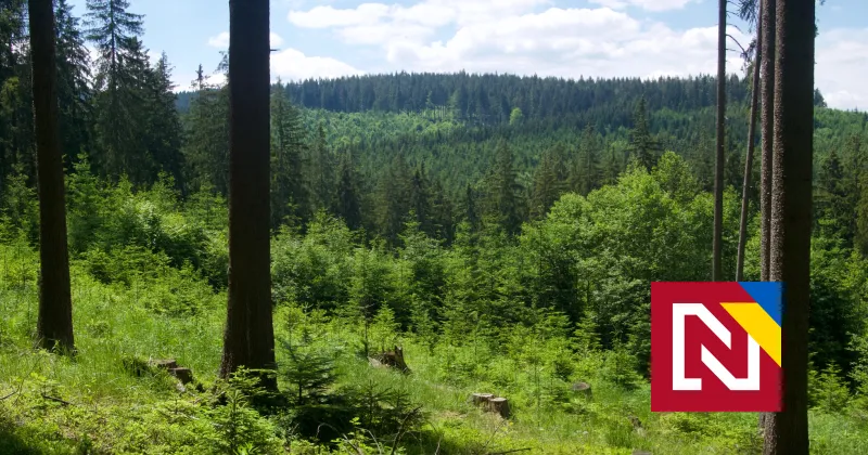 Takáč chce opäť vápniť lesy, naposledy na tom zarobili ľudia spojení s&nbsp;Fafokanom a&nbsp;Malantou &mdash; Denník N
