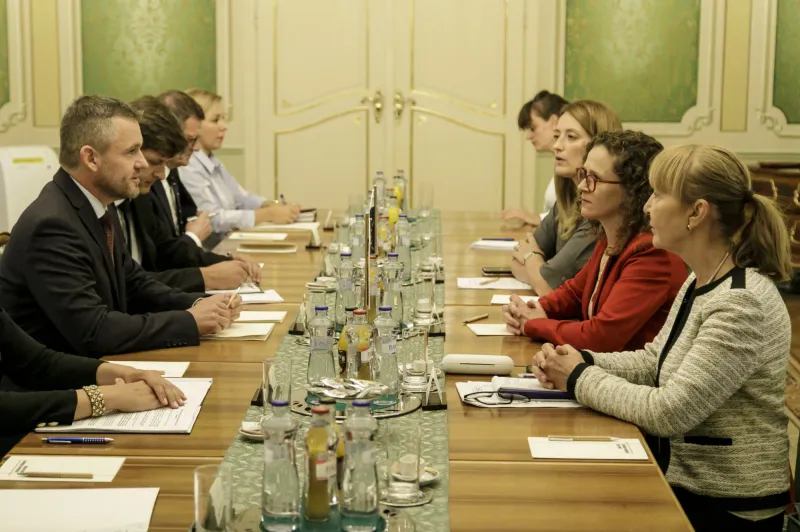 Europoslancom prekáža návrat tých, čo odišli. Na scénu sa vracajú tí istí ľudia, hovorila šéfka misie – Denník N